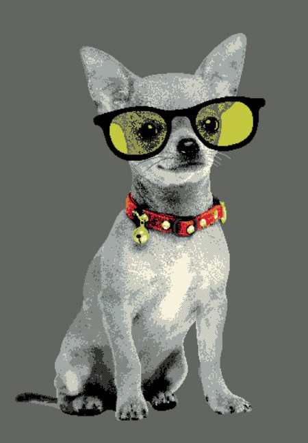 Dywany w stylu pop-art w Komforcie