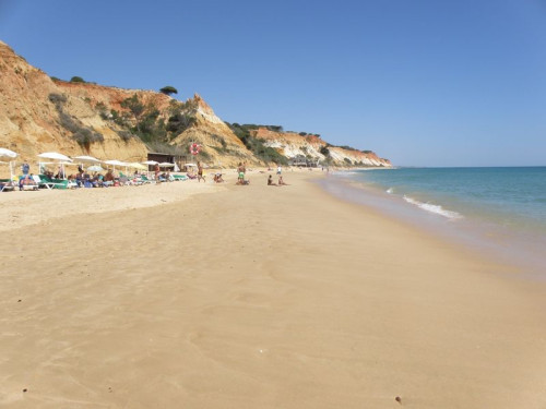 Rekordowe zainteresowanie wyjazdami z Nice