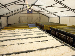 Pianka otwartokomórkowa H2Foam Lite zapewnia odpowiednią akustykę i jest na tyle elastyczna, że nie popęka podczas transportu kontenerów