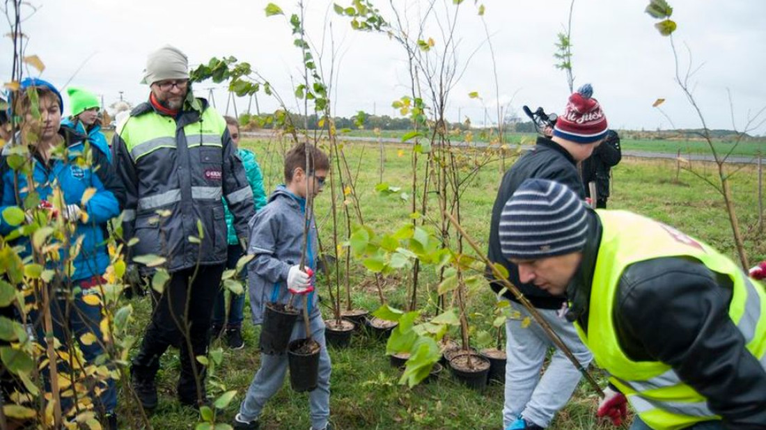 Posadź drzewko z Kronopolem - 250 nowych drzew w Żarach