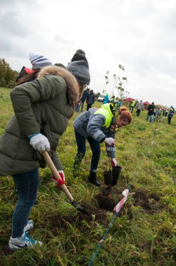 Działkowcy w podziękowaniu za wsparcie i zaangażowanie otrzymali w prezencie krzewy owocowe