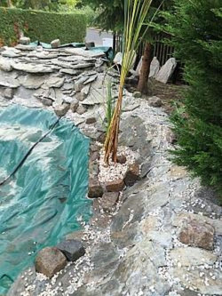 Oczko wodne w Szczecinie