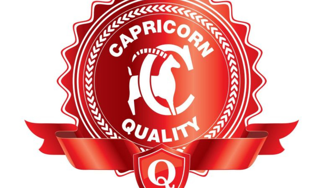 Co oznacza CapricornQuality?