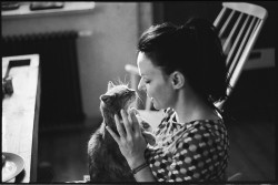 W  2015 roku celem DDZ są podopieczni Schroniska dla Bezdomnych Zwierząt w Józefowie – 240 bezdomnych psów i 20 kotów