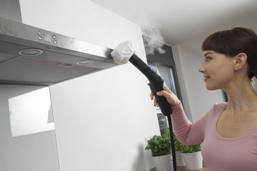 Kolejna zaletą parownic jest to, że wymagają one jedynie wody