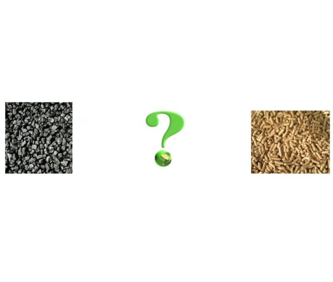Biomasa Partner: Jaki kocioł wybrać - na ekogroszek czy na pellet?