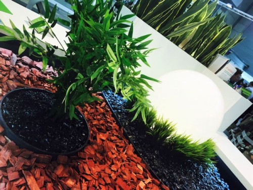 W ciągu trzech dni uczestnicy mieli okazję zapoznać się z nowoczesnymi rozwiązaniami ułatwiającymi pielęgnację roślin, drzew oraz krzewów