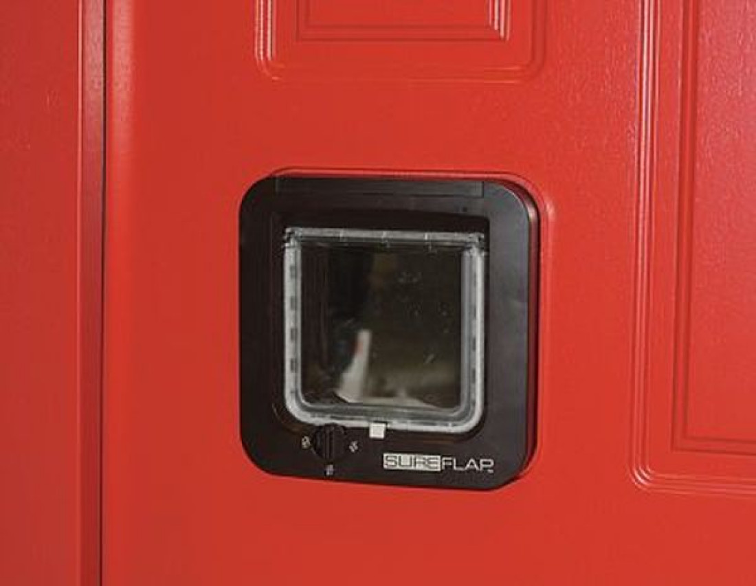 Klapka dla kota w drzwiach wejściowych AFB