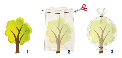 Kaptury ochronne wykonane z agrowłókniny – są bardzo wygodnym sposobem na ochronę pojedynczych roślin