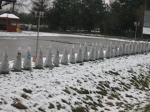 Na rośliny, które wymagają ochrony, należy nałożyć kaptur ochronny