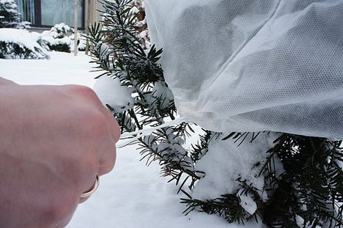 Następnie zawiązujemy sznurek, znajdujący się w dolnej części kaptura