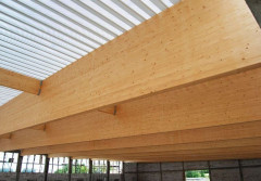 Konsbud: Drewno wokół nas i jego perspektywy w XXI wieku