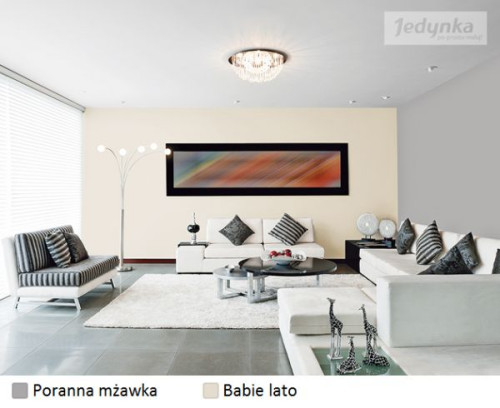 Kolor porannej mżawki doskonale sprawdzi się w pomieszczeniach, w których chcemy uzyskać efekt nowoczesności