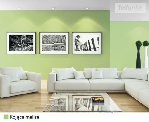 Prywatną strefę relaksu we wnętrzu stworzy choćby położony na ścianach kolor kojącej melisy