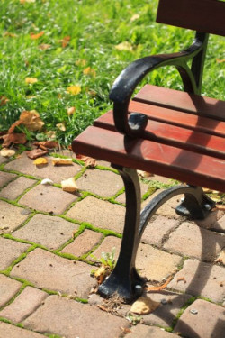 Estetyczny ogród traci swą rację bytu, jeśli mimo efektownych roślin pokrywa go siatka zaniedbanych ścieżek