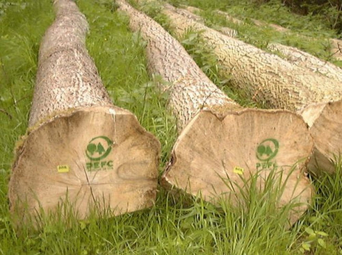 Pierwszy etap w analizie LCA to pozyskiwanie surowców