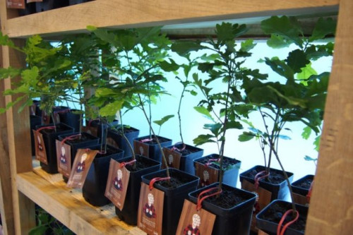 &quot;Stolarnia Zmysłów&quot; to wspólne przedsięwzięcie Barlinka, Tabandy - studia projektowego z Gdańska oraz magazynu Design Alive