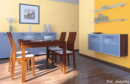 Jedynka Ogród Barw: promyk słońca, subtelny irys