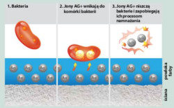Jednocześnie Tikkurila Argentum 20 zawiera substancję grzybobójczą, która dodatkowo chroni powłokę farby
