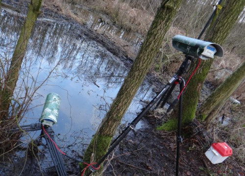 Film prezentuje rezerwaty przyrodnicze Holandii oraz ich mieszkańców, takich jak m.in. bobry