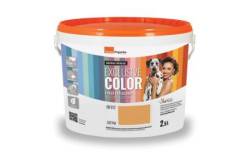 Termo Organika i Omenaa Mensah pomalują krakowski dom dziecka