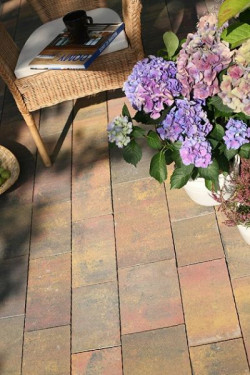 Ogród, który ma zachwycać przez cały rok, musi posiadać dominujące elementy przełamujące kolor trawników i drzewek