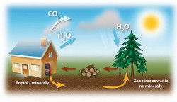 Kotły MAXDREW są przyjazne środowisku