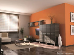 Uznawana za owoc jesieni jarzębina już od września zdobi parki i ogrody, czarując swym pięknym intensywnym kolorem