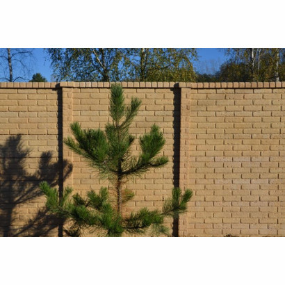 Dwustronne Betonowe Ogrodzenie Barwione Cegiełka Kolor Piaskowy