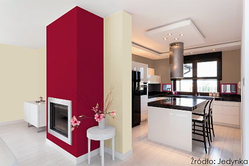 Intensywne, mocne i wyraźne kolory to niezawodny sposób na nadanie wnętrzu wyjątkowego charakteru