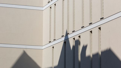 Usytuowane w pobliżu skupisk zieleni i zbiorników wodnych budynki narażone są na powstawanie na tynkach zewnętrznych siedlisk glonów i grzybów