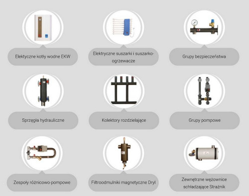 Grupy produktowe, zakupy których premiowane są punktami