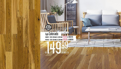 DĄB COLORADO GRANDE