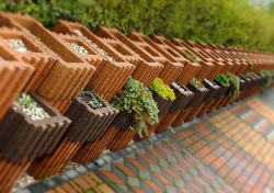 Ogrody wertykalne są oryginalnym sposobem na aranżację zieleni wokół domu i wprowadzenie ożywczej roślinności na niewielkich przestrzeniach