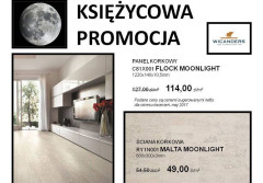 Księżycowa Promocja firmy Wicanders