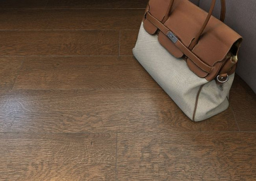 Natura na dobre zadomowiła się we wnętrzach