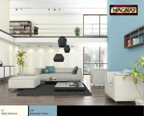 Wprowadzają do wnętrza światło i przestrzeń