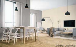 Dzięki aranżacjom w kolorach lata można utrwalić wakacyjne wspomnienia