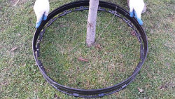 Libet Bord mogą stać się również bardziej wyrazistym elementem dekoracyjnym