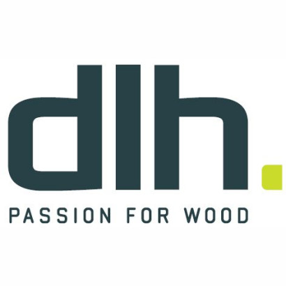 DLH Global