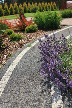 Ogród holistyczny ma angażować wszystkie zmysły – wzrok, słuch, smak, dotyk i węch