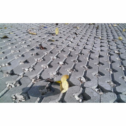 Kostka trawnikowa Typ-2