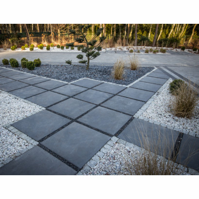 Maxima (Libet Impressio)