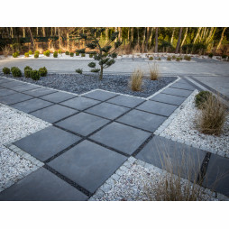 Maxima (Libet Impressio)