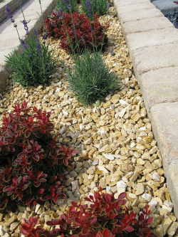 O roślinach w ogrodzie warto pomyśleć już na etapie projektowania posesji