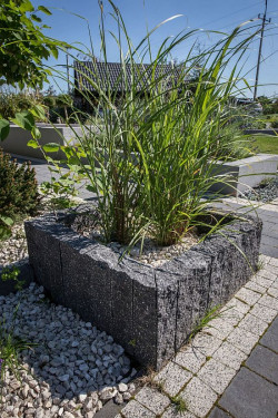 Odpowiednio dobrane i zadbane rośliny nie tylko stanowią ozdobę przydomowej przestrzeni, ale mogą też cieszyć pięknym zapachem