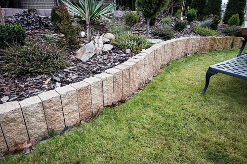 Wdzięcznymi roślinami do eksponowania są też wszelkiego rodzaju pnącza