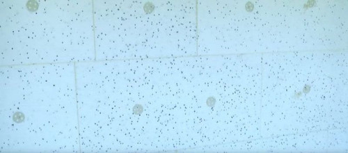 Liczba kołków, podobnie jak rozstaw łączników decyduje o trwałości i funkcjonalności elewacji