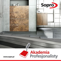 Nowoczesna łazienka, bo o niej będzie mowa podczas nadchodzącej Akademii Profesjonalisty, to nie tylko designerskie dodatki, modne akcesoria czy niebanalny wystrój