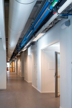 Budynki publiczne, ale także handlowe i mieszkalne, są coraz częściej planowane i oparte na zasadzie zrównoważonego rozwoju